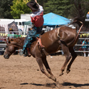 image of cowboy on a bucking horse