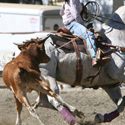 image of cowboy roping a calf