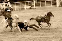 image of cowboys steer wrestling