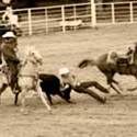 image of cowboy srwestling a steer