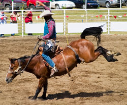cowboy on a  bucking horse with a saddle