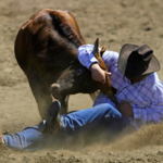 image of cowboy wrestling a steer
