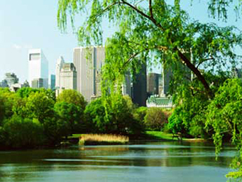 image of central park