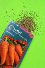 carrot seeds